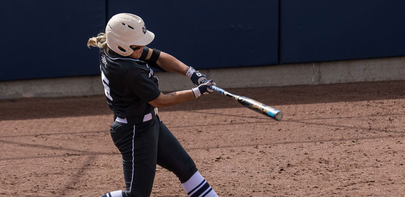 Judge Softball Camps